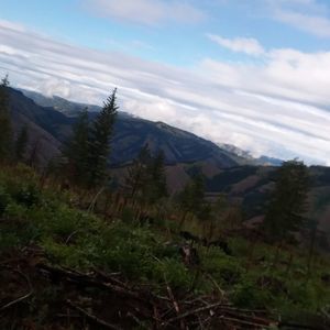 Meet your Posher, Josh